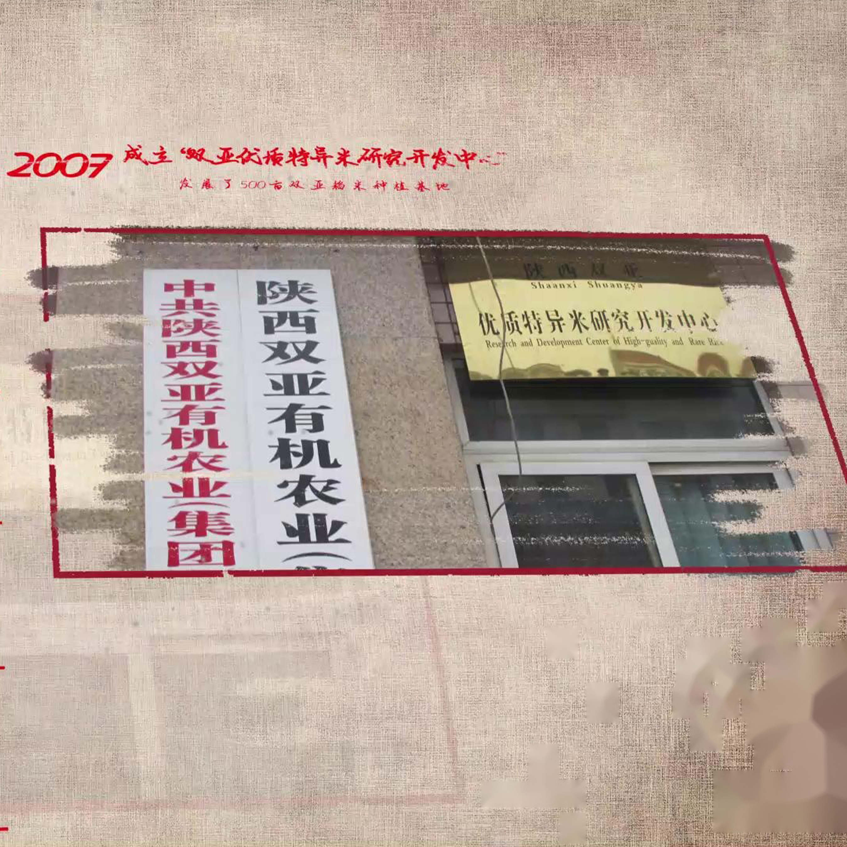 洋縣雙亞周大黑-品種培育